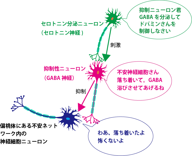 脳神経細胞とDNA